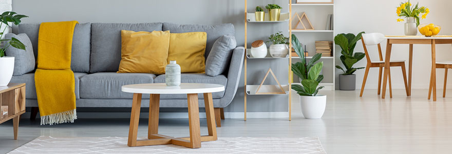 Déco style scandinave