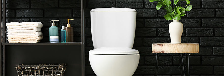 meuble wc